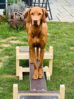 Laufsteg, Schwebebalken, Brücke, Balanciersteg. Agility-Steg - wasserfest