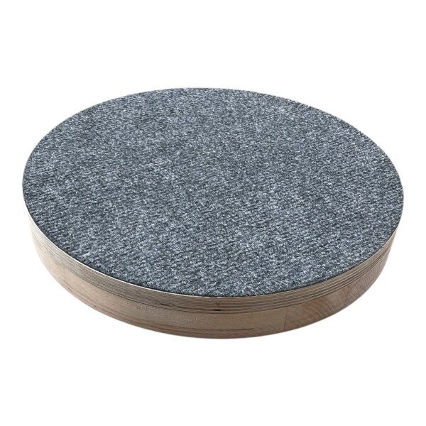 Target, Placeboard  mit Filz schwarz - rund -Durchmesser: 30cm