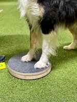 Target, Placeboard  mit Filz schwarz - rund -Durchmesser:...