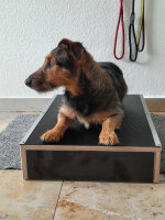 Placeboard für das Hundetraining - wasserfest - verschiedene Größen