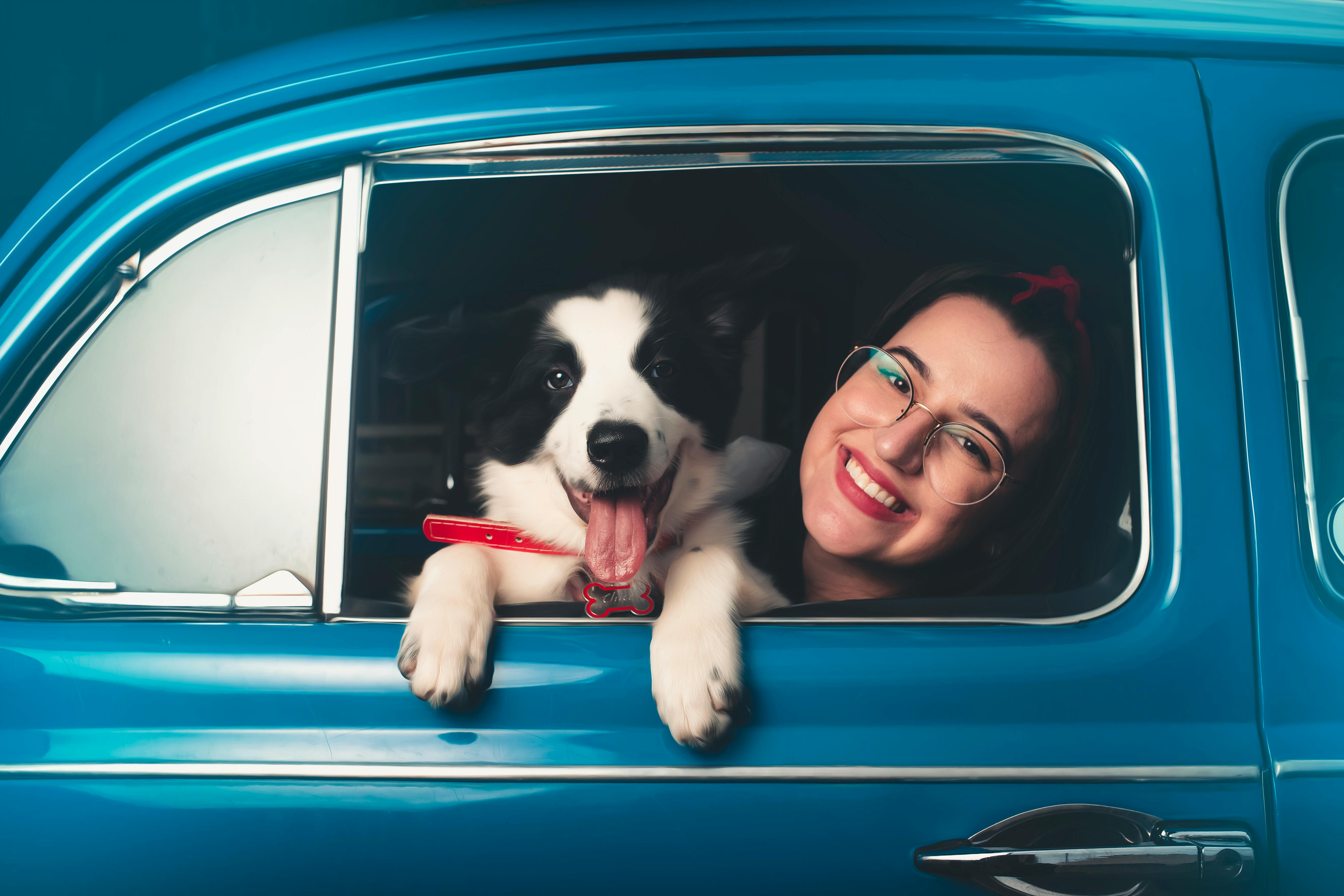 Urlaub mit dem Hund
